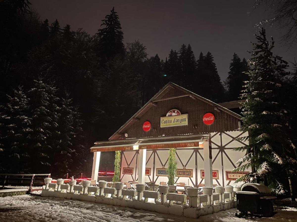 Vila De Argint Aleea Pelesului Nr 2 Sinaia Exterior foto