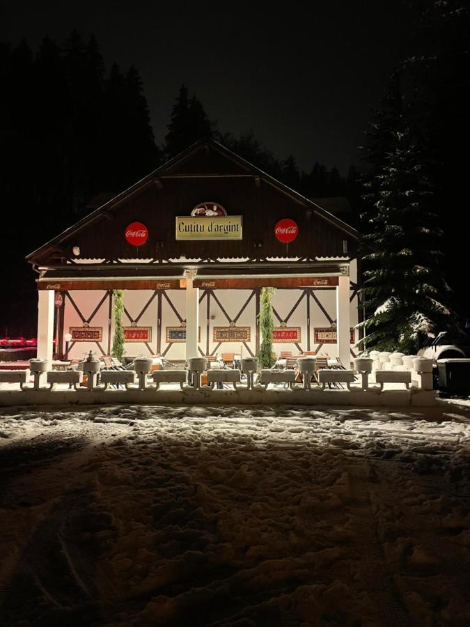 Vila De Argint Aleea Pelesului Nr 2 Sinaia Exterior foto