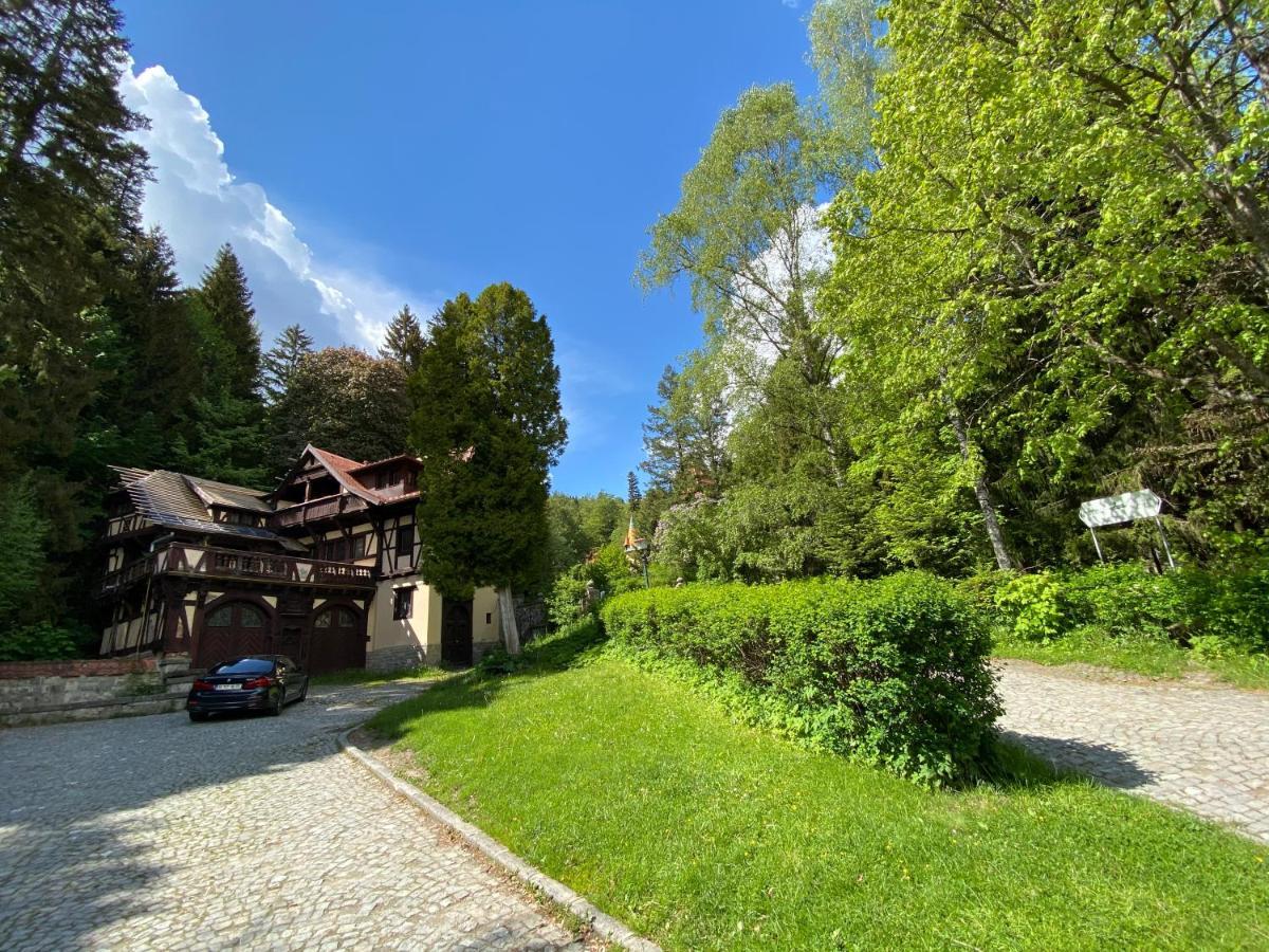 Vila De Argint Aleea Pelesului Nr 2 Sinaia Exterior foto